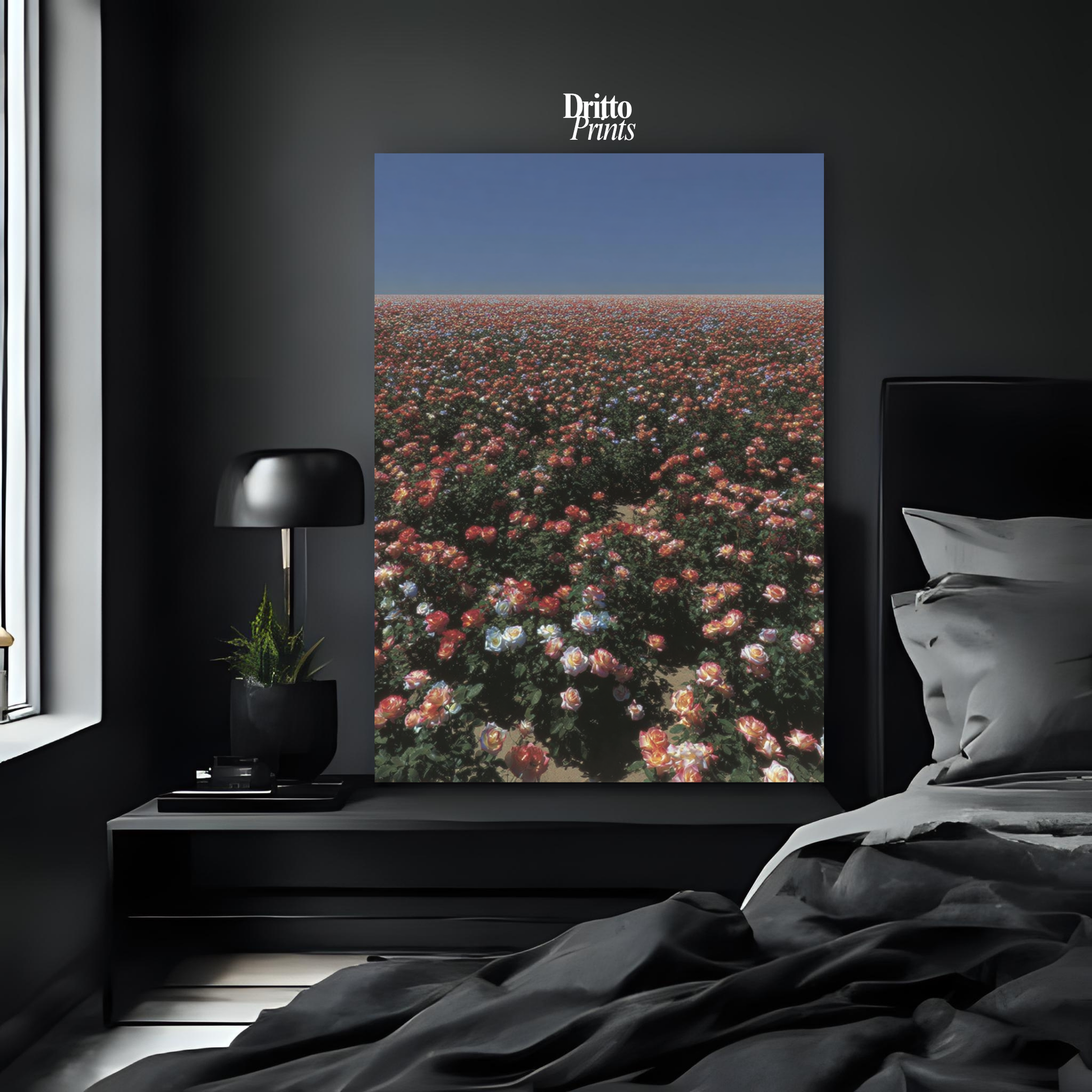 (PD28) Sea of Roses - Poster