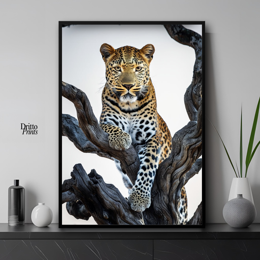 (FD14) Elegance Above All - Framed matte paper poster