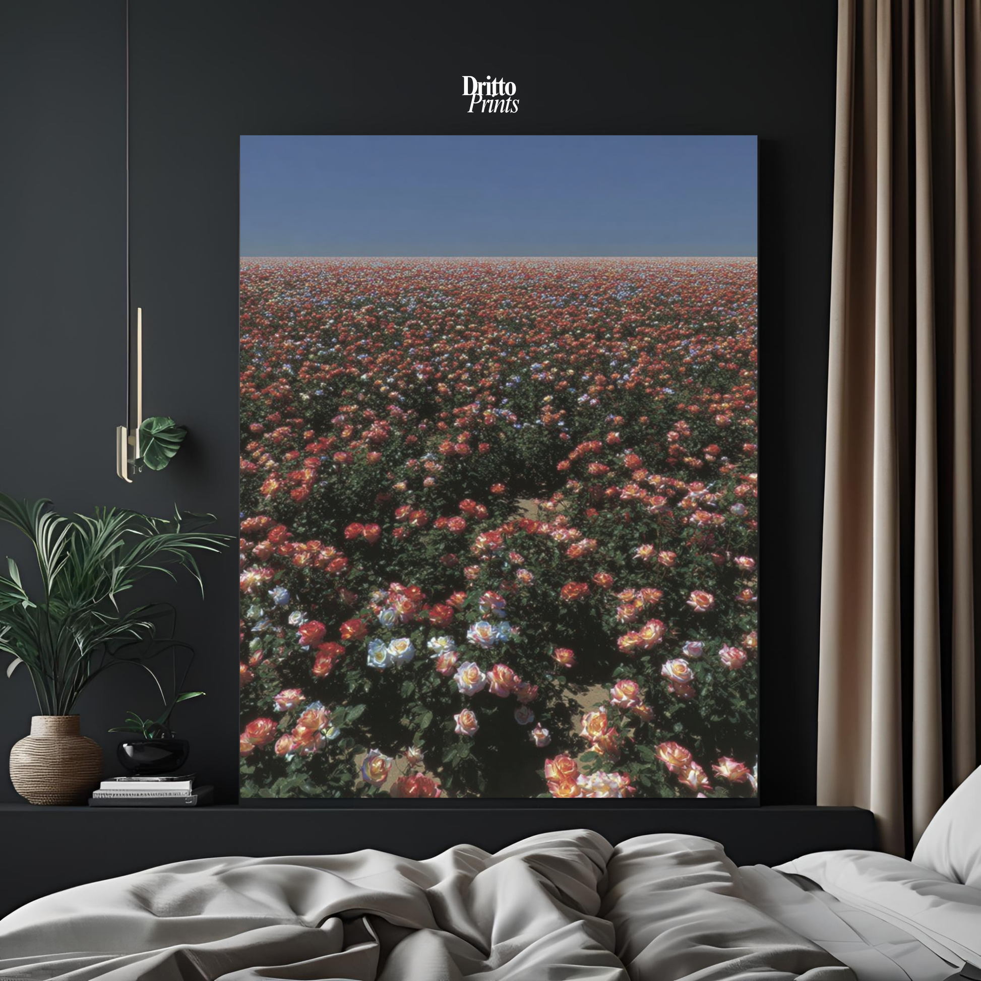 (PD28) Sea of Roses - Poster