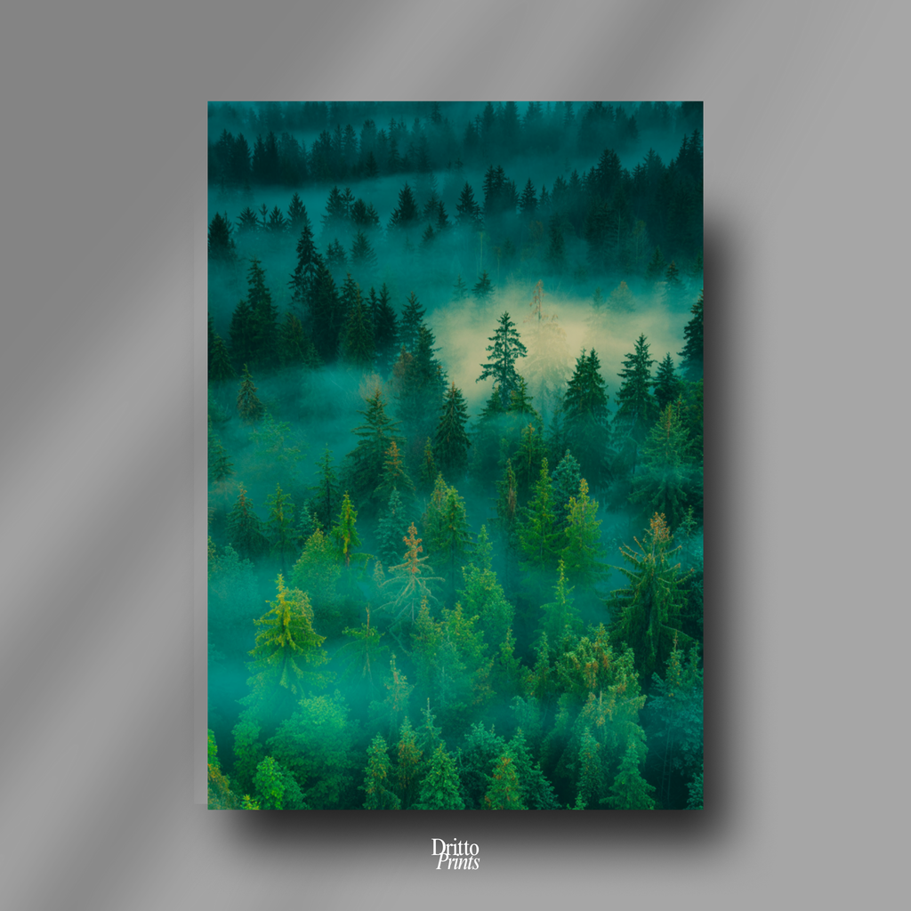 (CD4) Into the Morning Mist - Canvas