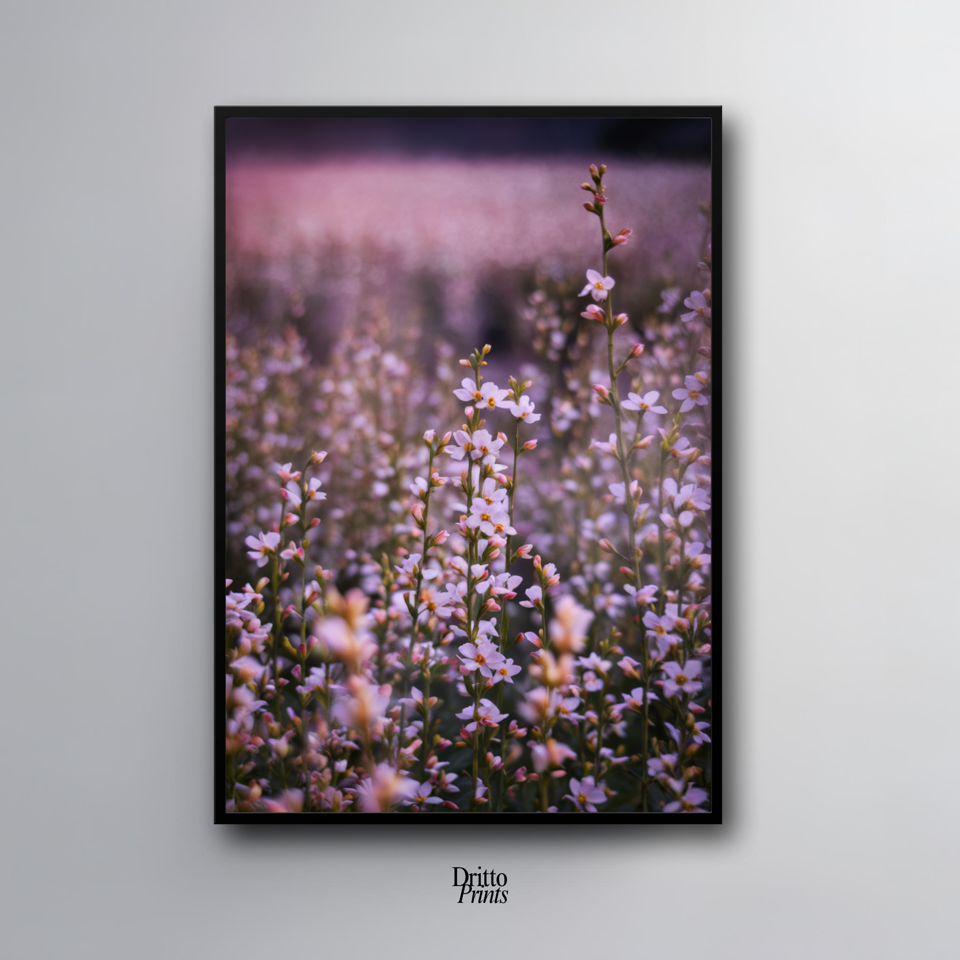 (FD23) Bloom Before the Fade - Framed matte paper poster