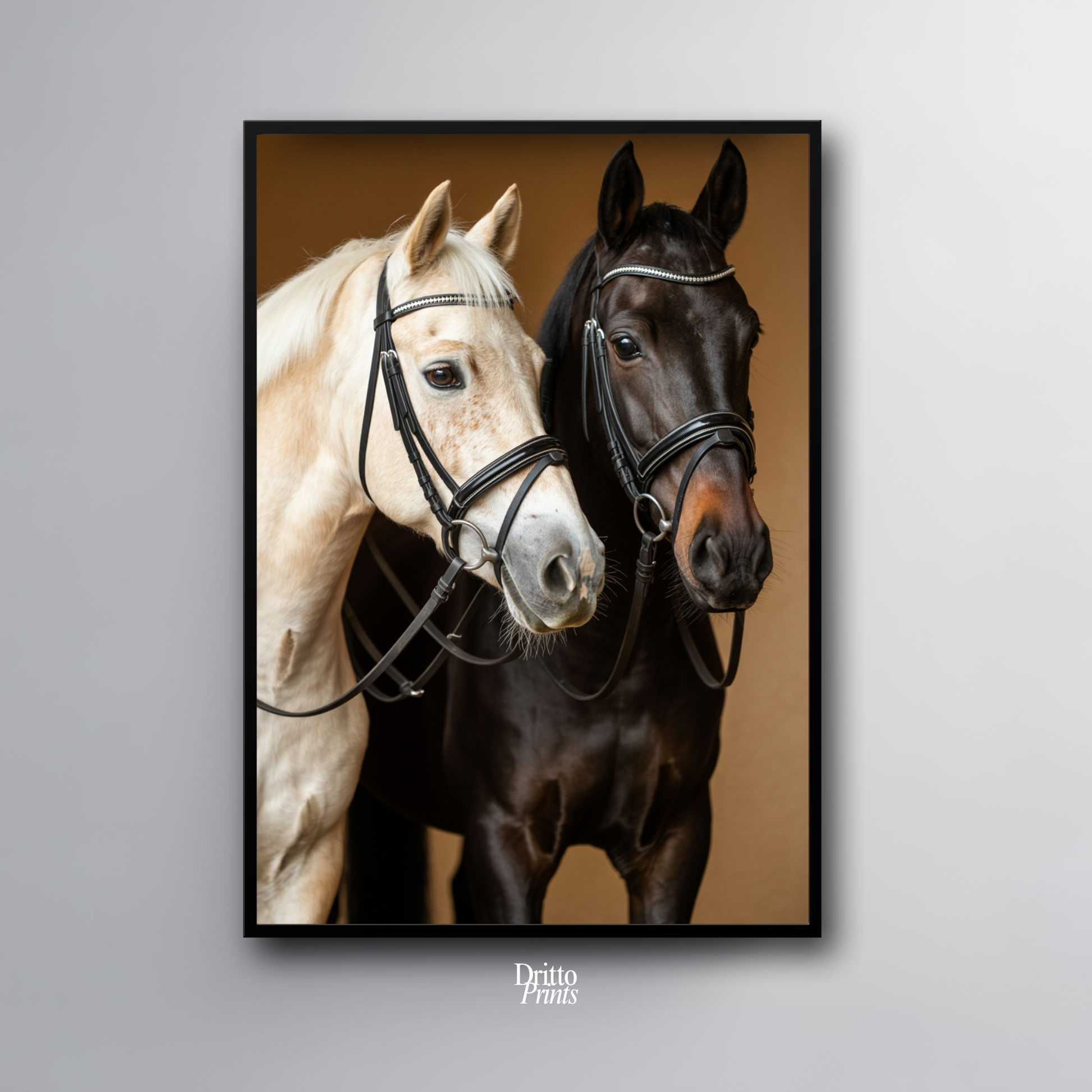 (FD22) Harmony in Contrast - Framed matte paper poster