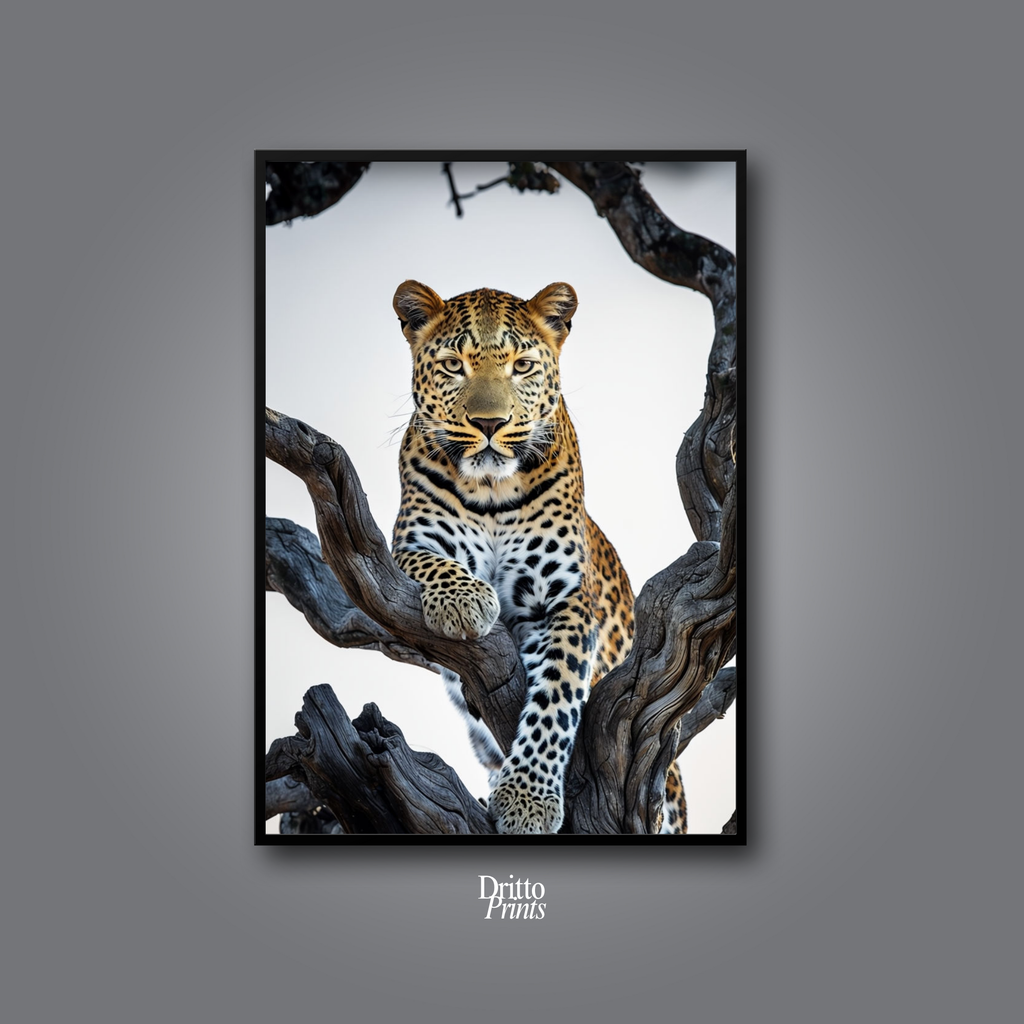 (FD14) Elegance Above All - Framed matte paper poster