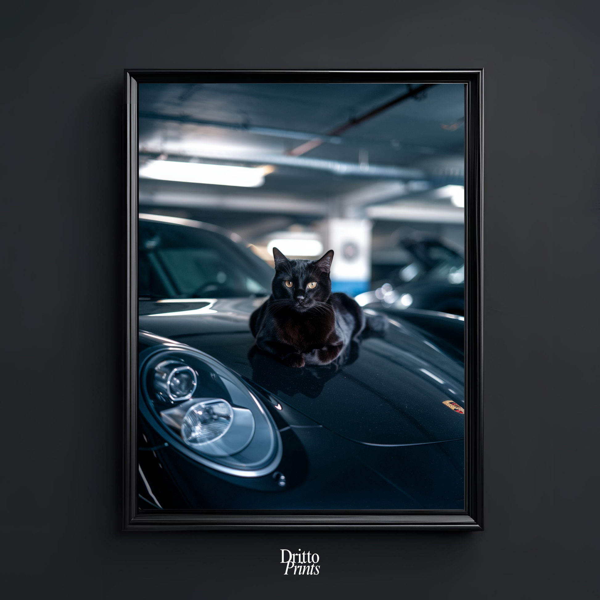 (FD9) Black Cat Turbo - Framed matte paper poster
