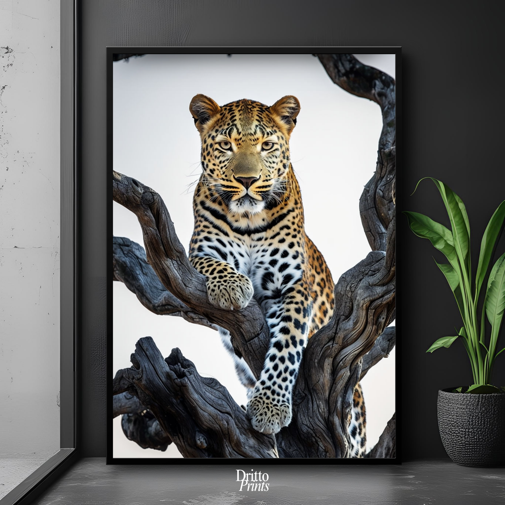 (FD14) Elegance Above All - Framed matte paper poster