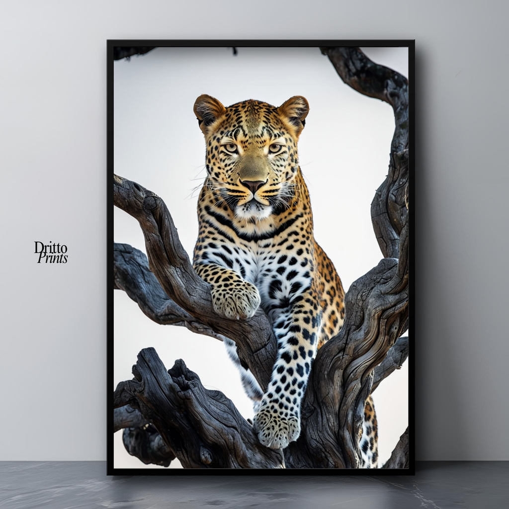 (FD14) Elegance Above All - Framed matte paper poster