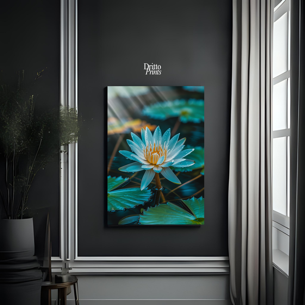 (CD5) Tranquil Water Lily - Canvas