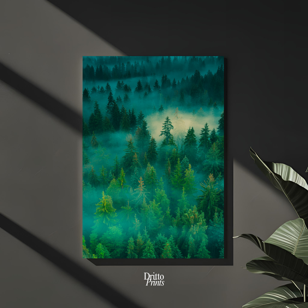 (CD4) Into the Morning Mist - Canvas