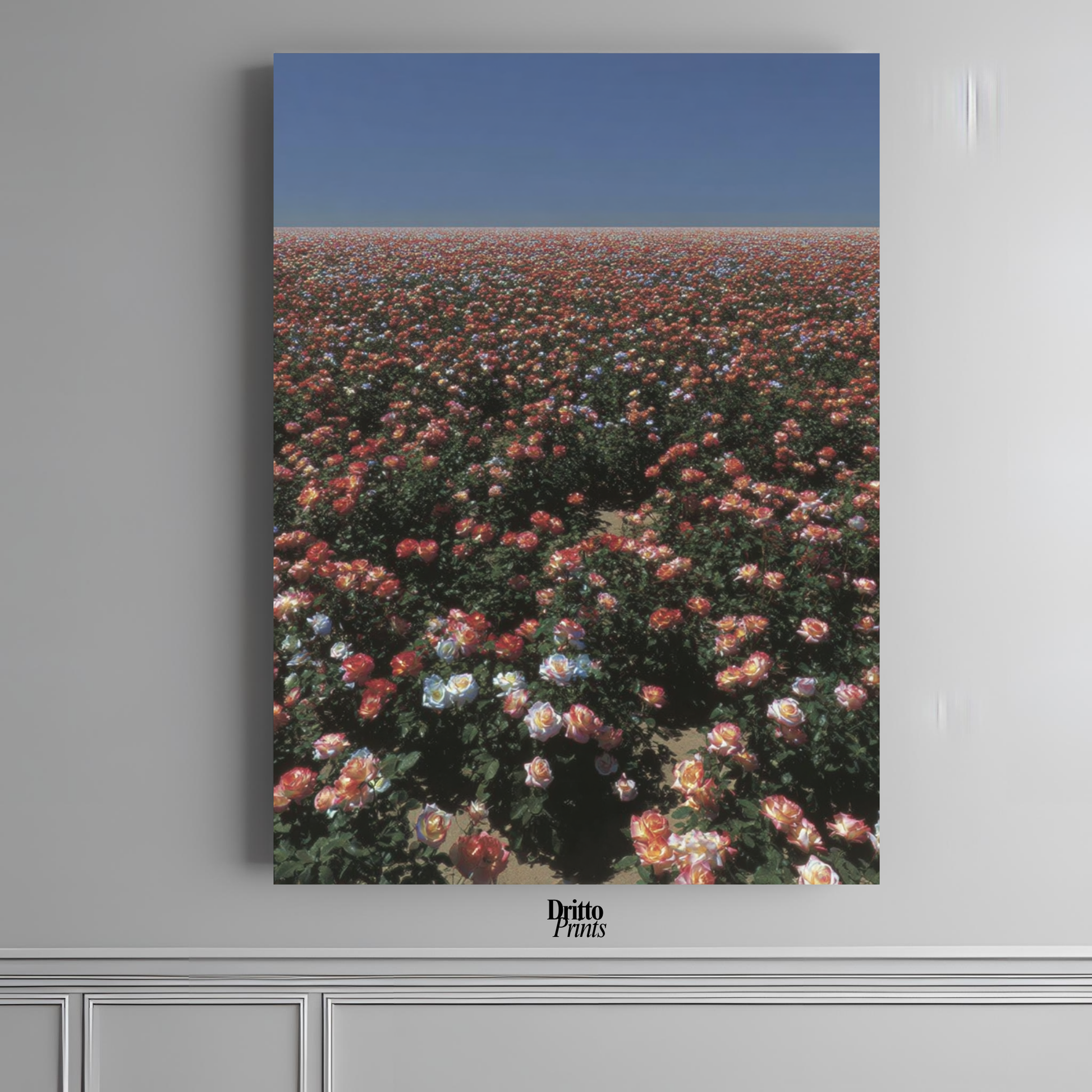 (PD28) Sea of Roses - Poster