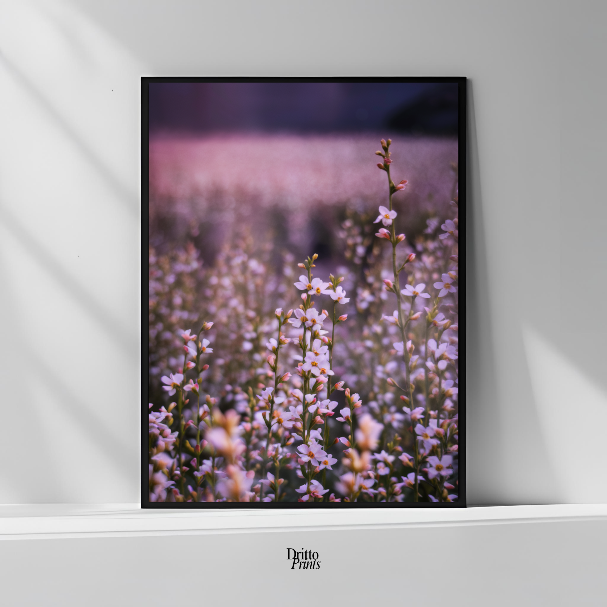 (FD23) Bloom Before the Fade - Framed matte paper poster