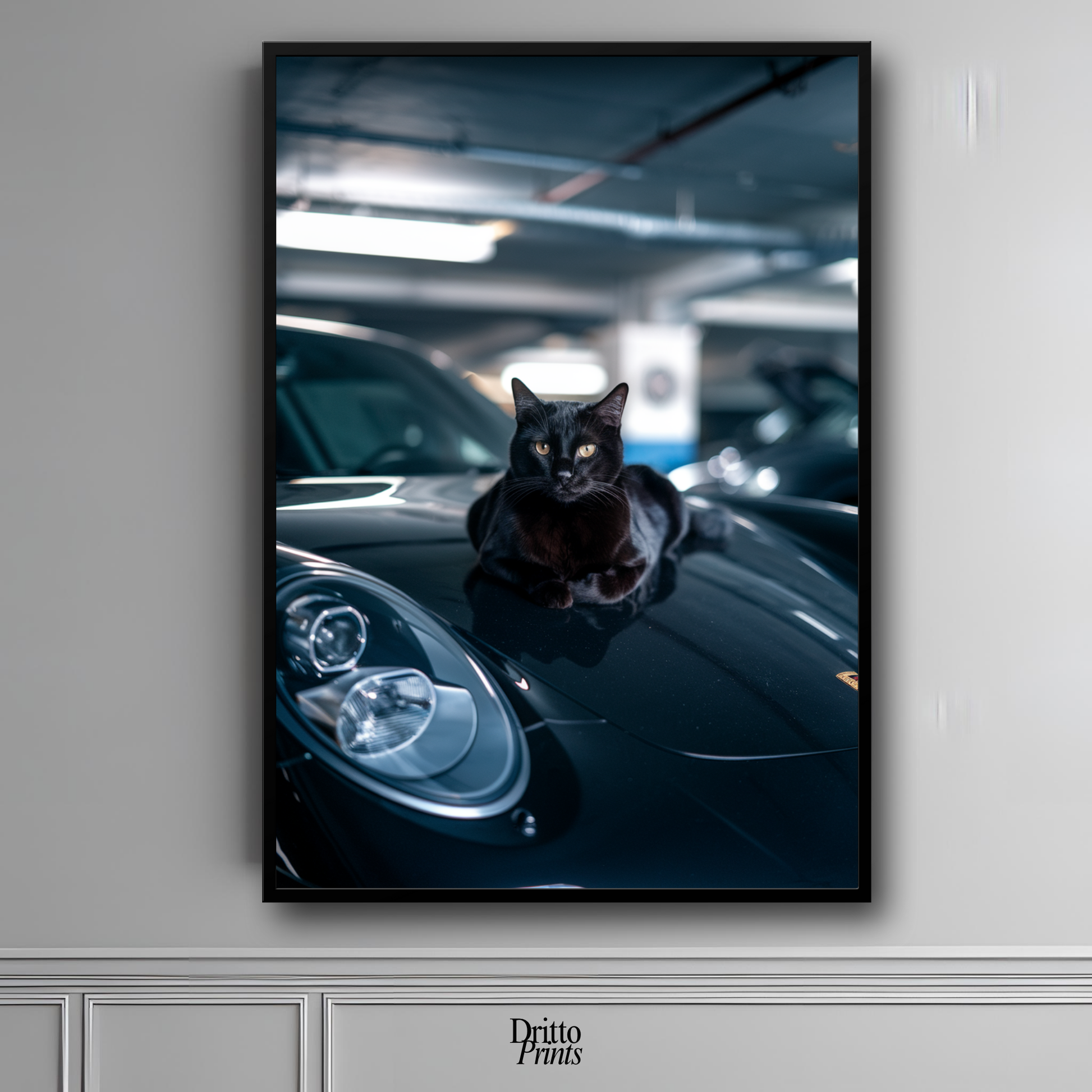 (FD9) Black Cat Turbo - Framed matte paper poster