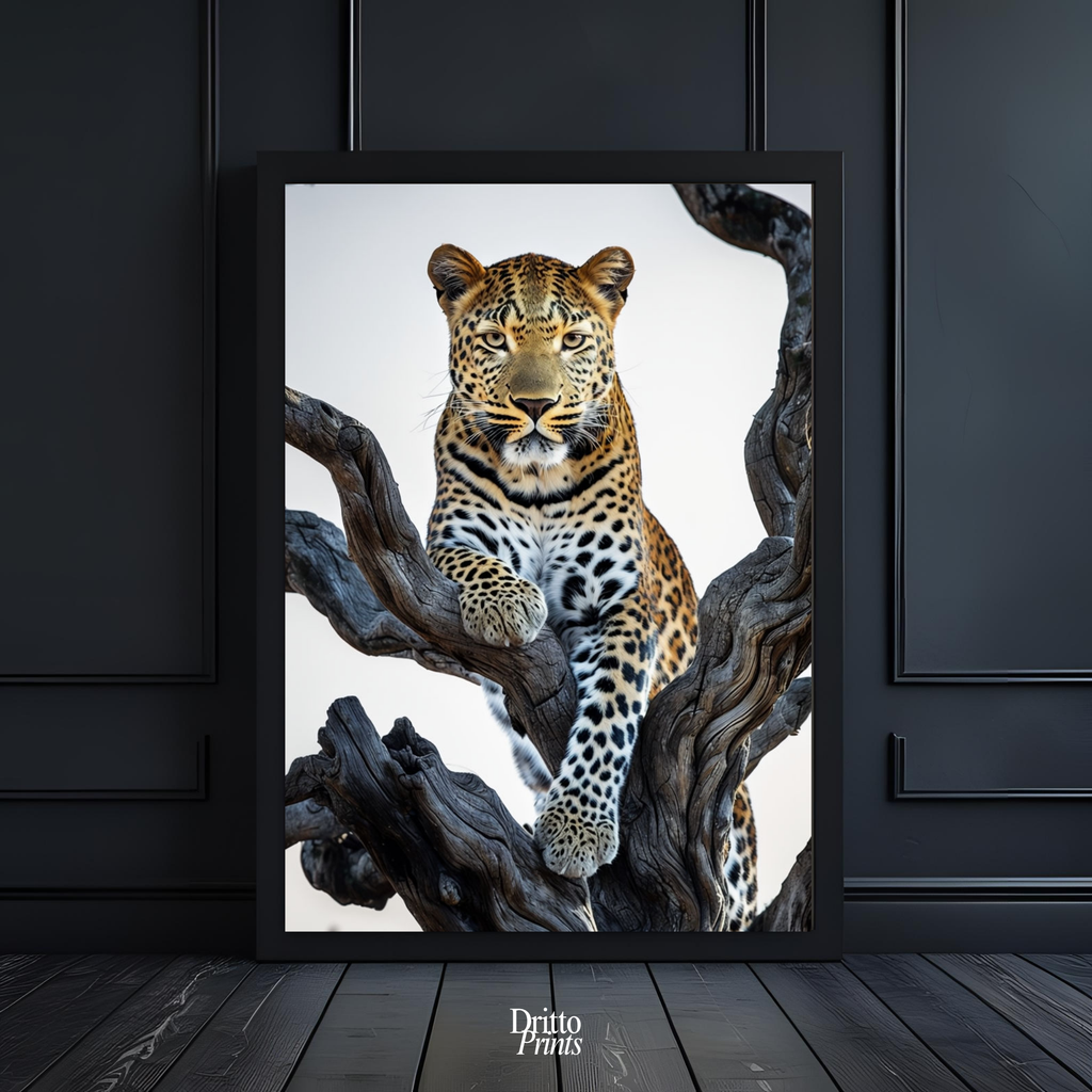 (FD14) Elegance Above All - Framed matte paper poster