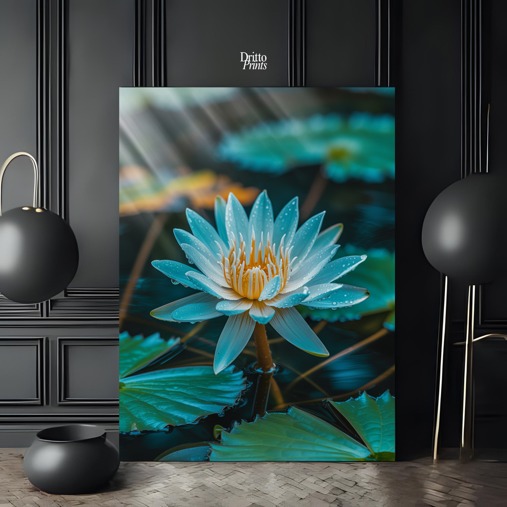 (CD5) Tranquil Water Lily - Canvas