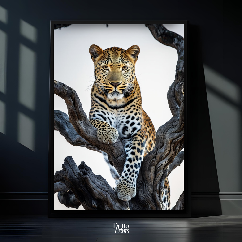 (FD14) Elegance Above All - Framed matte paper poster