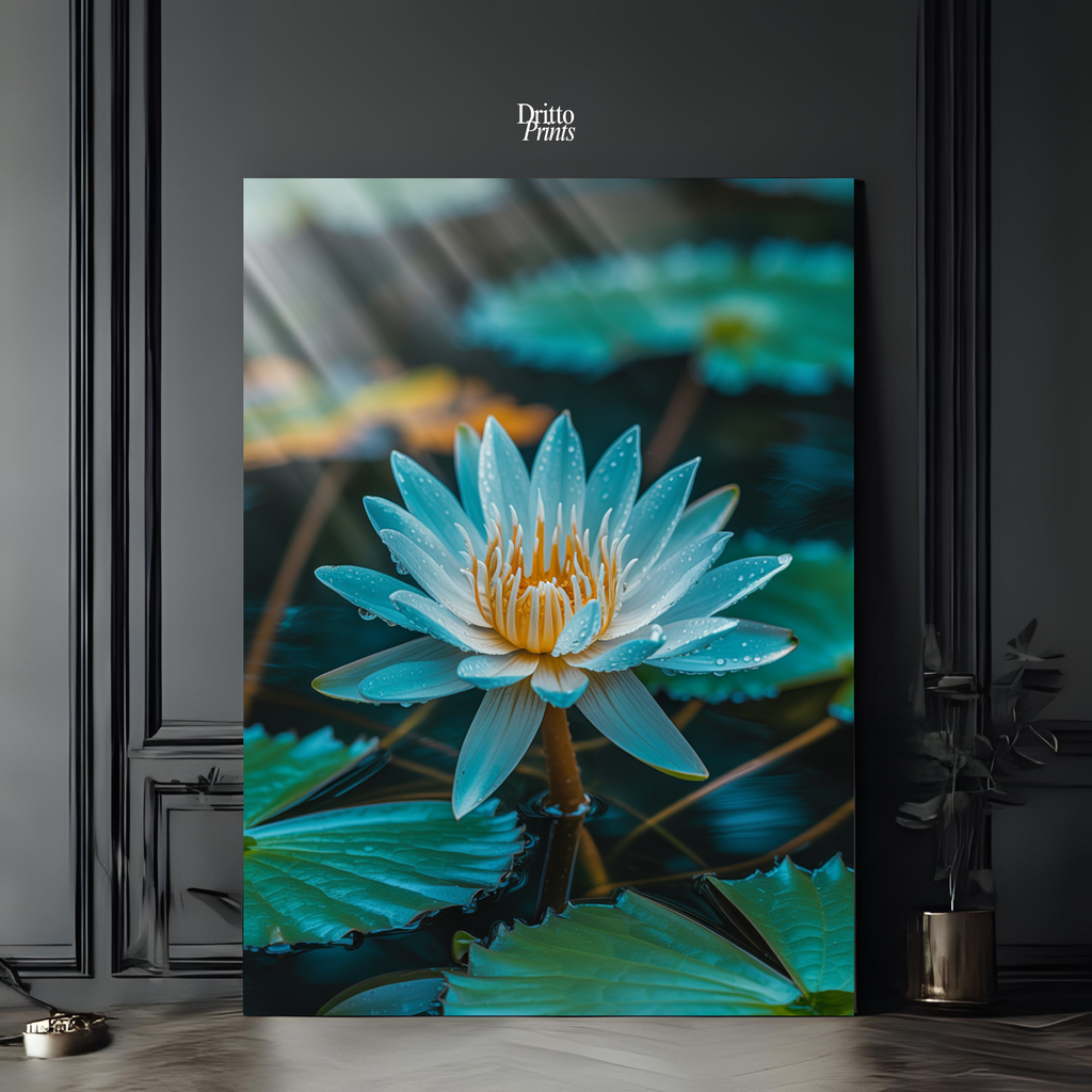 (CD5) Tranquil Water Lily - Canvas
