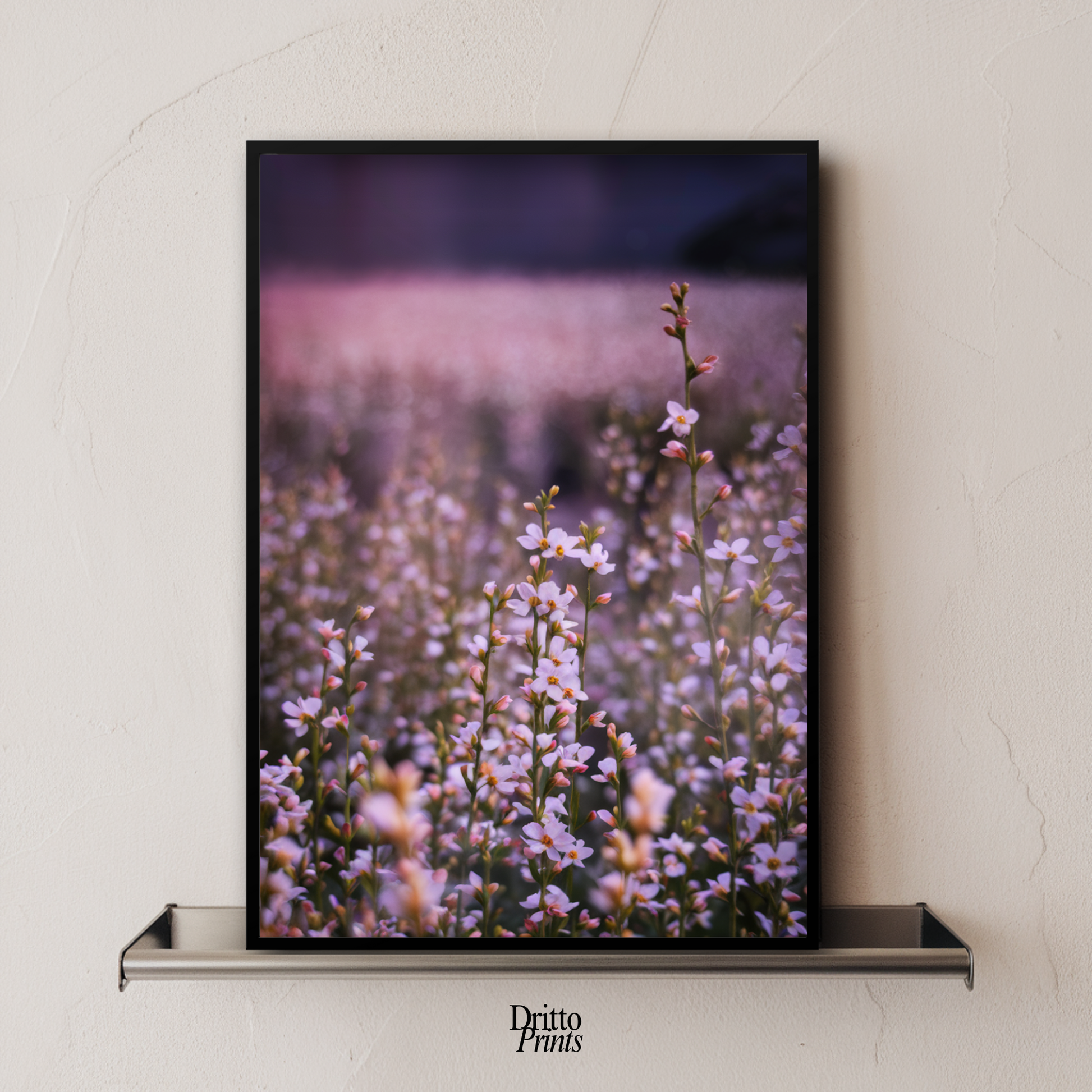 (FD23) Bloom Before the Fade - Framed matte paper poster