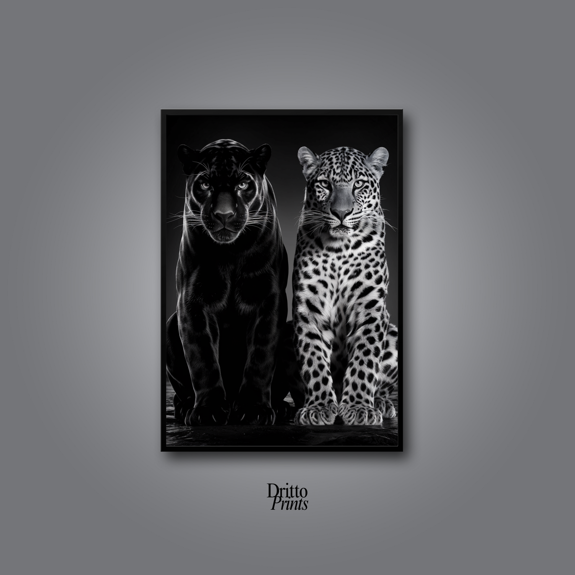 (FD5) Black Panther and Leopard – Silent Royals Framed matte paper poster