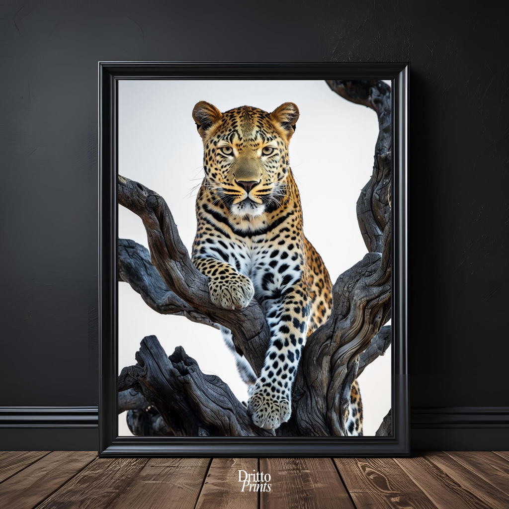 (FD14) Elegance Above All - Framed matte paper poster