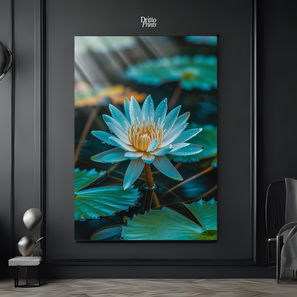 (CD5) Tranquil Water Lily - Canvas