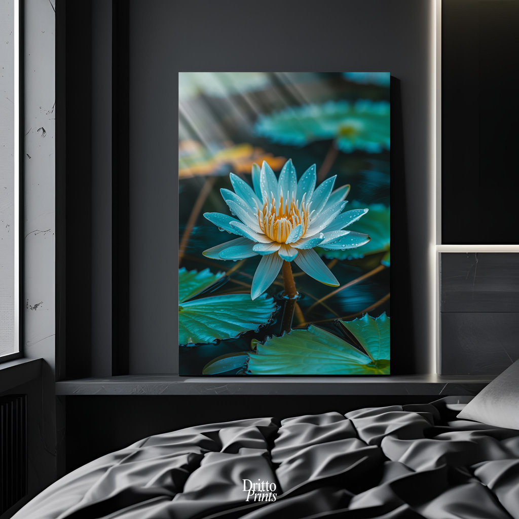 (CD5) Tranquil Water Lily - Canvas