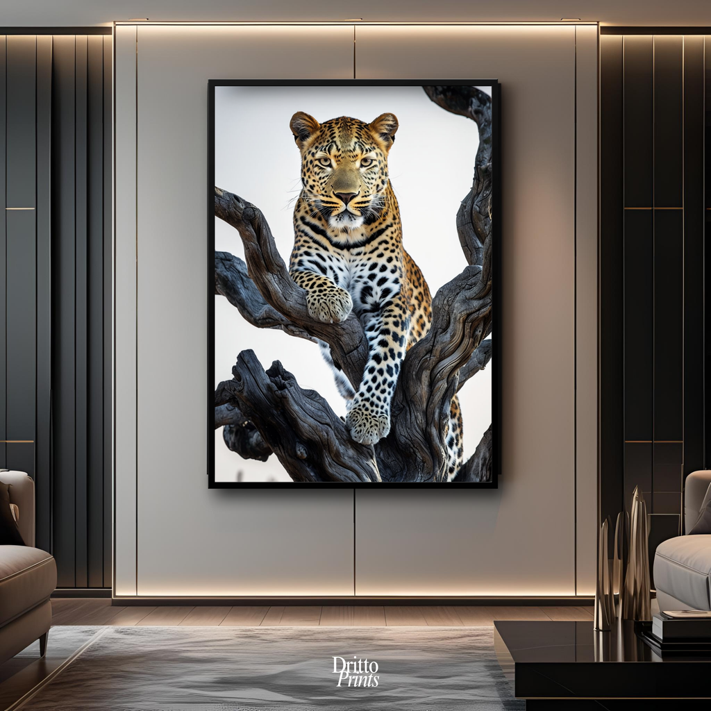 (FD14) Elegance Above All - Framed matte paper poster