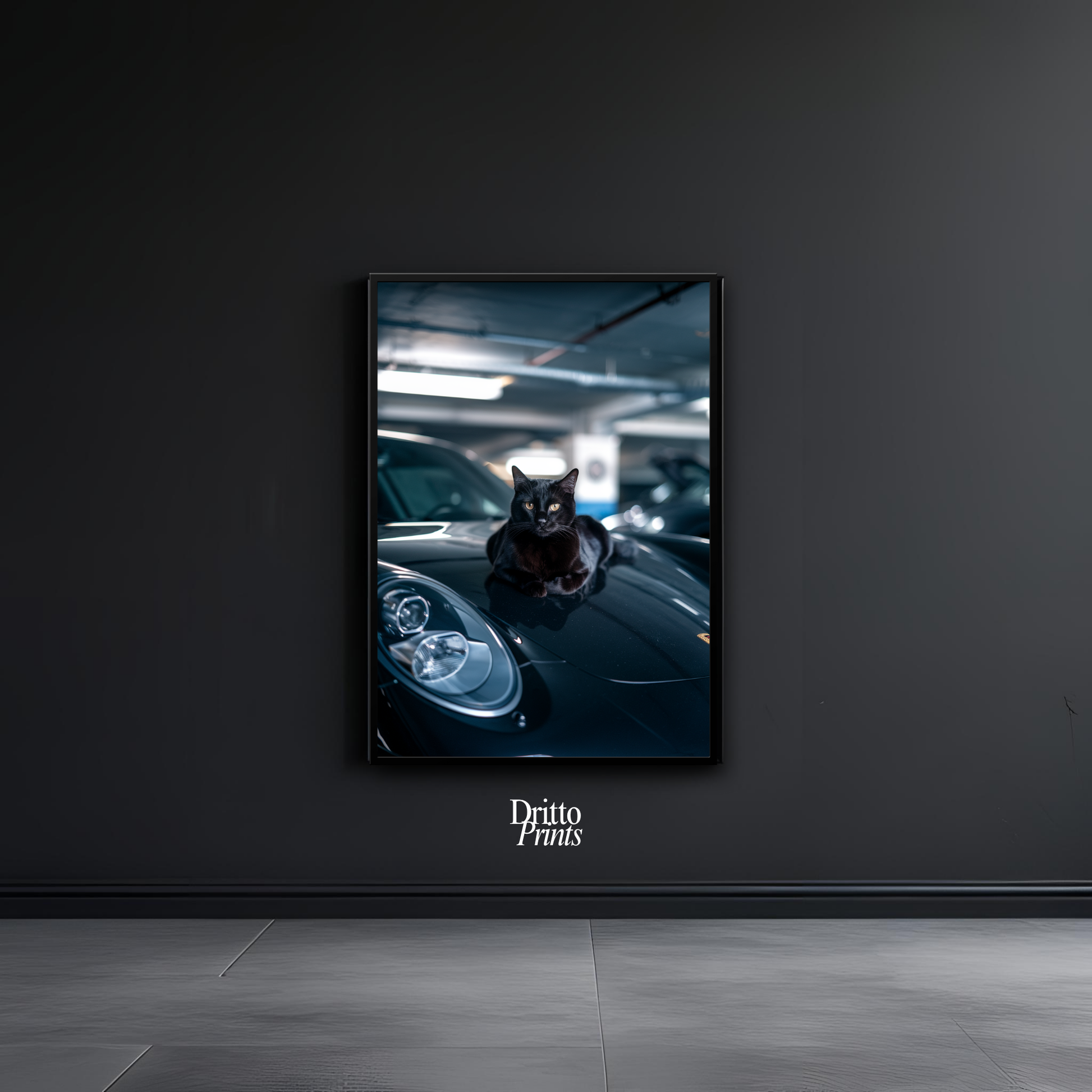(FD9) Black Cat Turbo - Framed matte paper poster