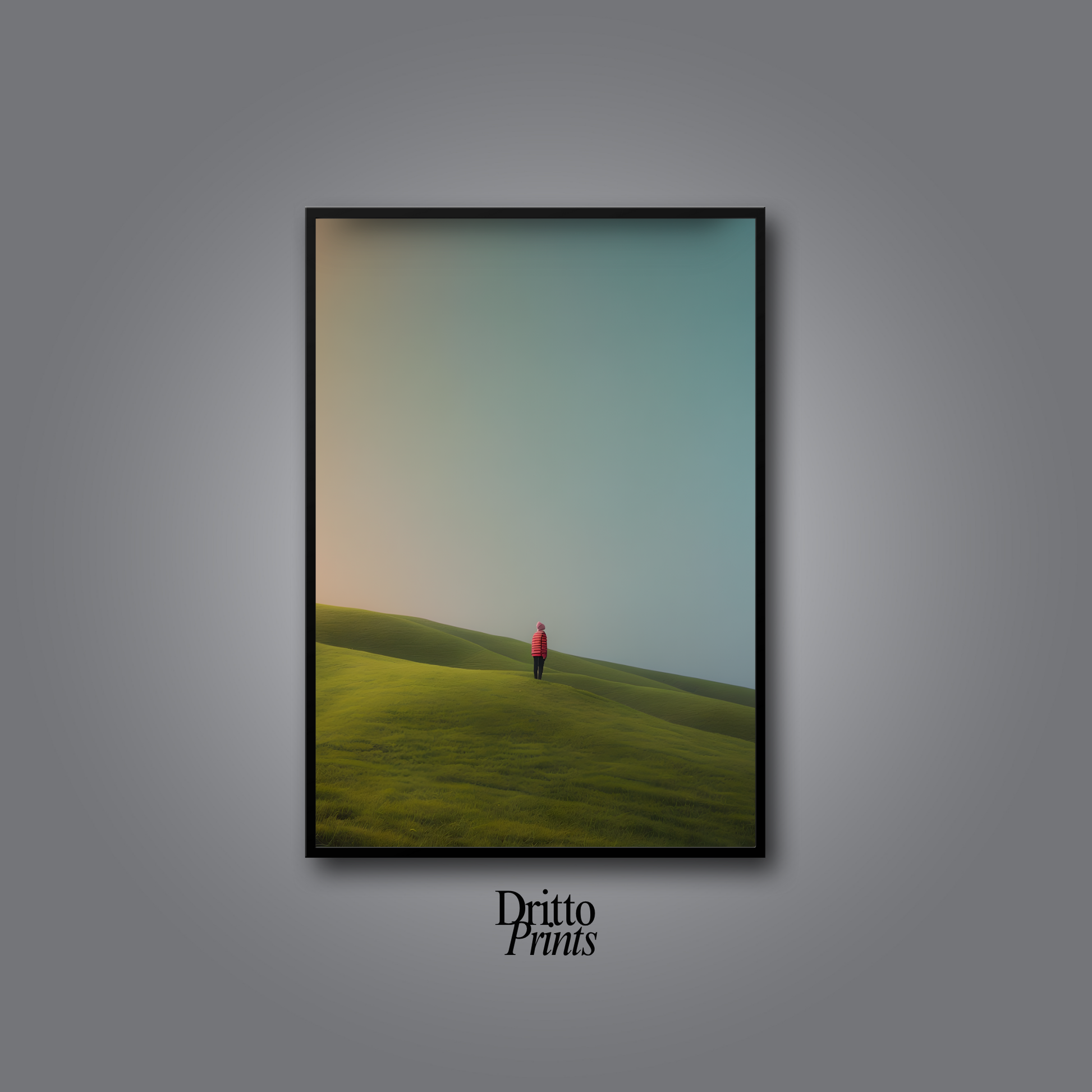 (FD2) - Alone with the Sky - Framed matte paper poster