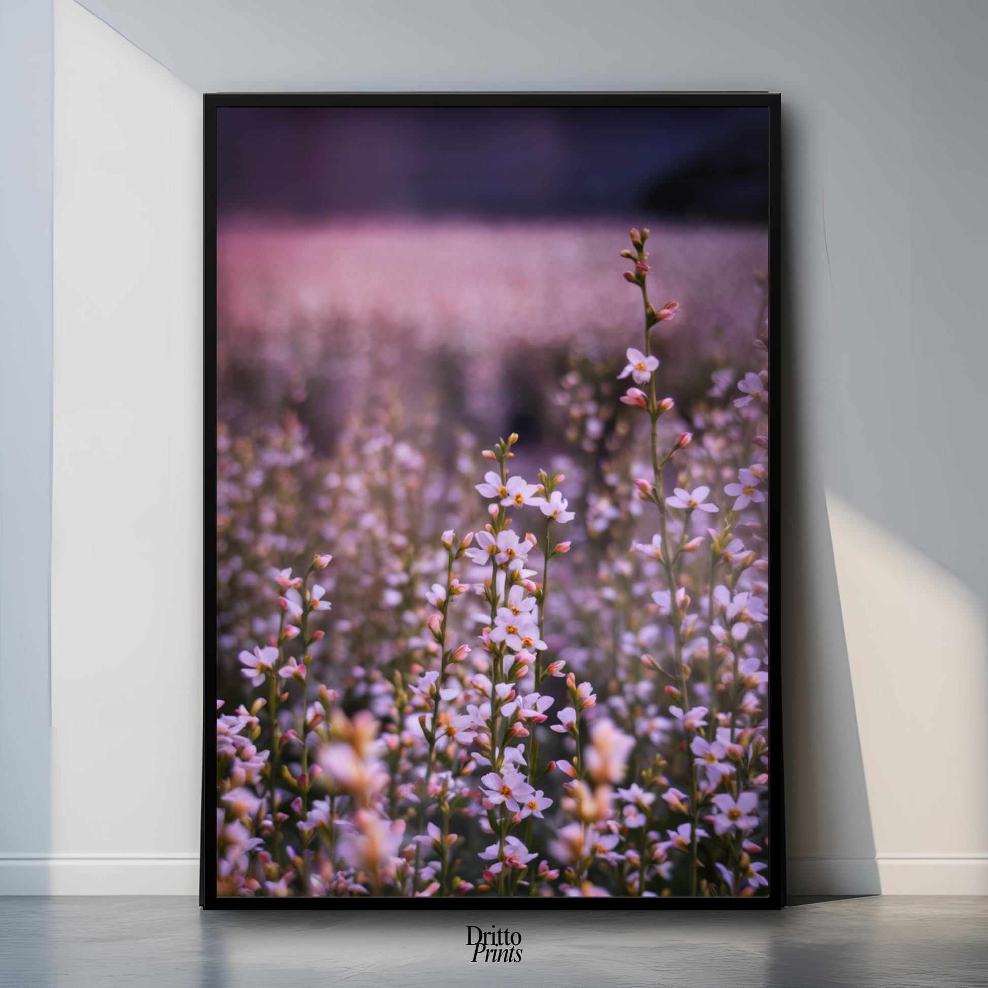 (FD23) Bloom Before the Fade - Framed matte paper poster