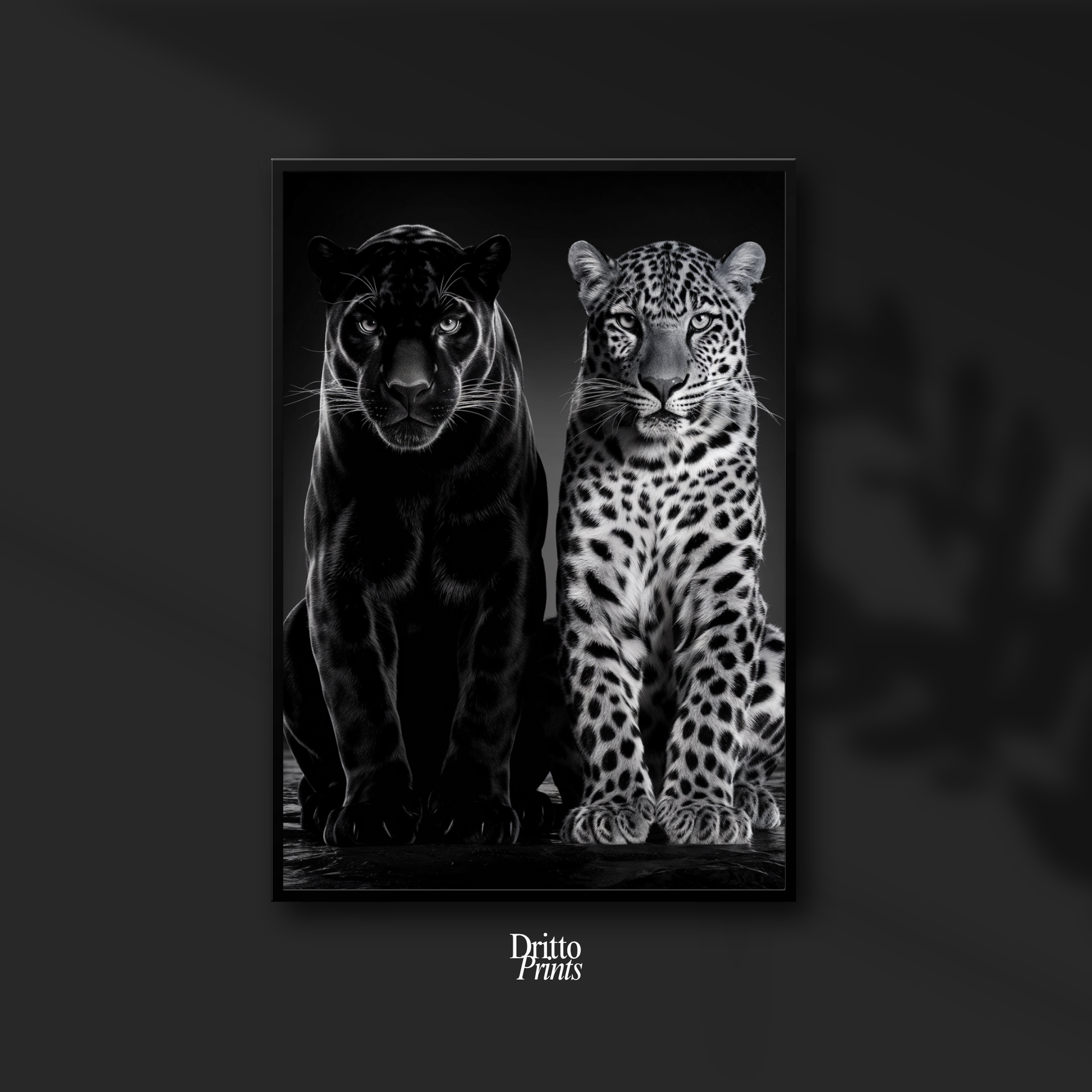(FD5) Black Panther and Leopard – Silent Royals Framed matte paper poster