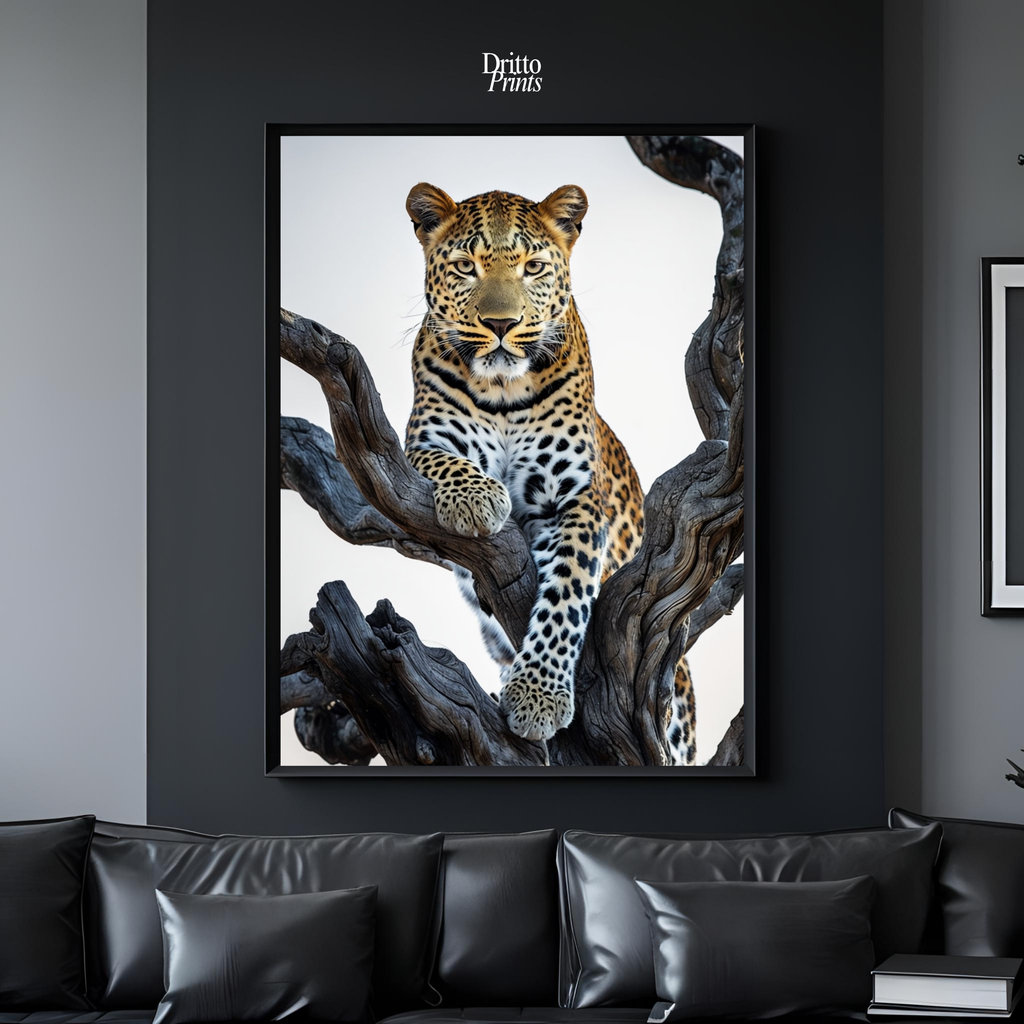 (FD14) Elegance Above All - Framed matte paper poster