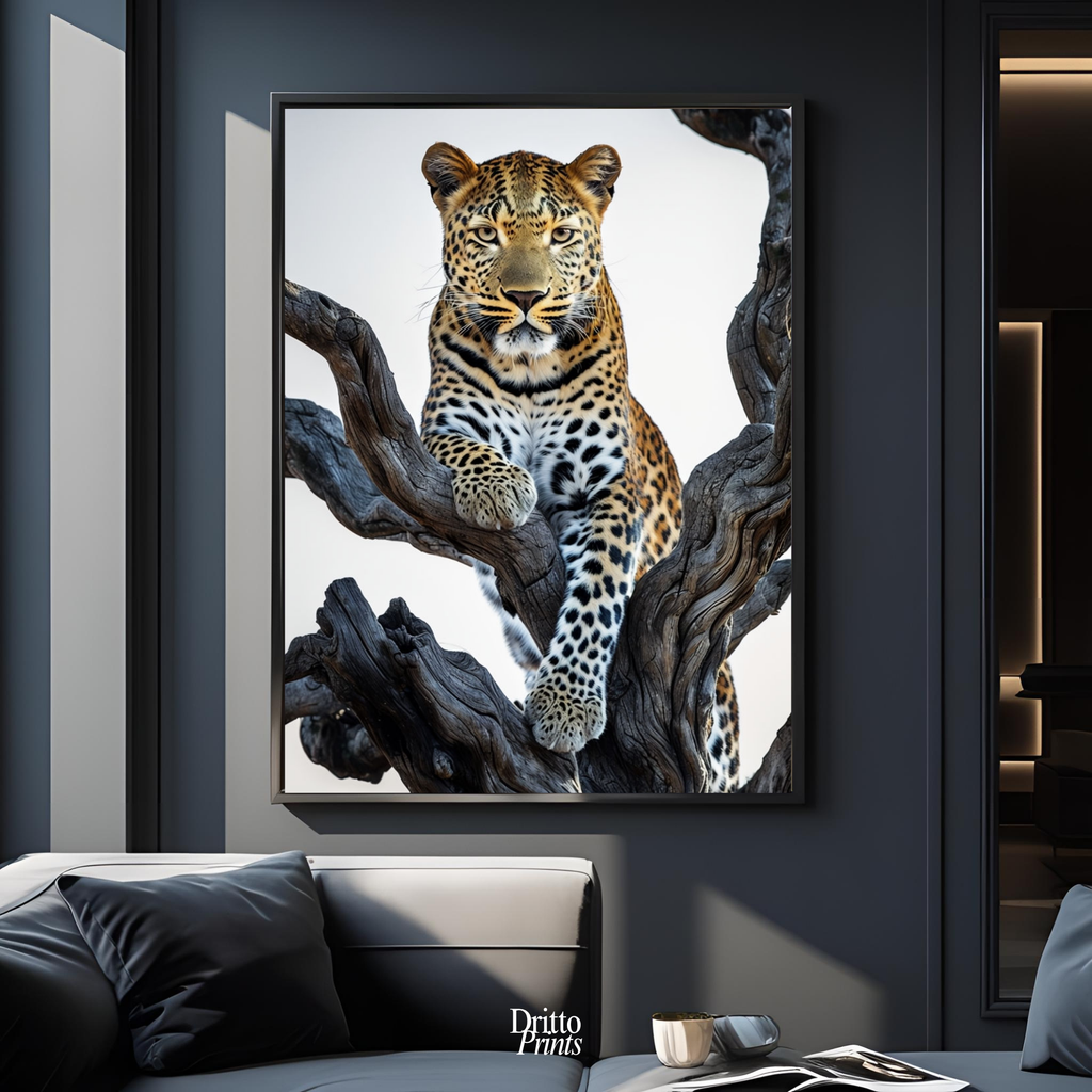 (FD14) Elegance Above All - Framed matte paper poster