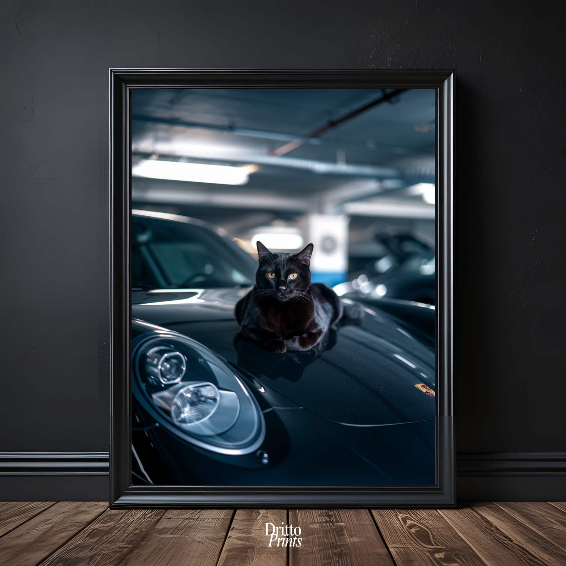 (FD9) Black Cat Turbo - Framed matte paper poster