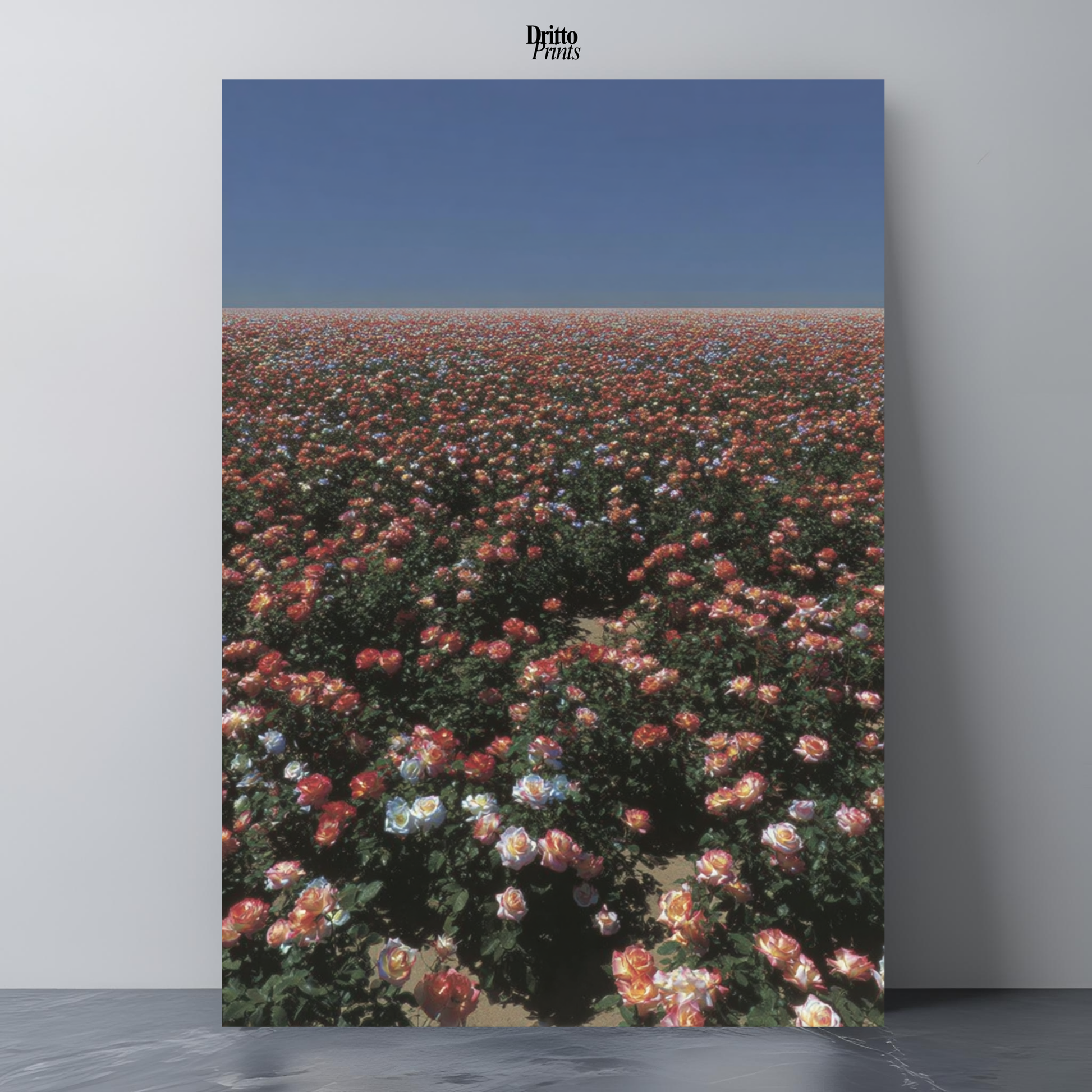(PD28) Sea of Roses - Poster
