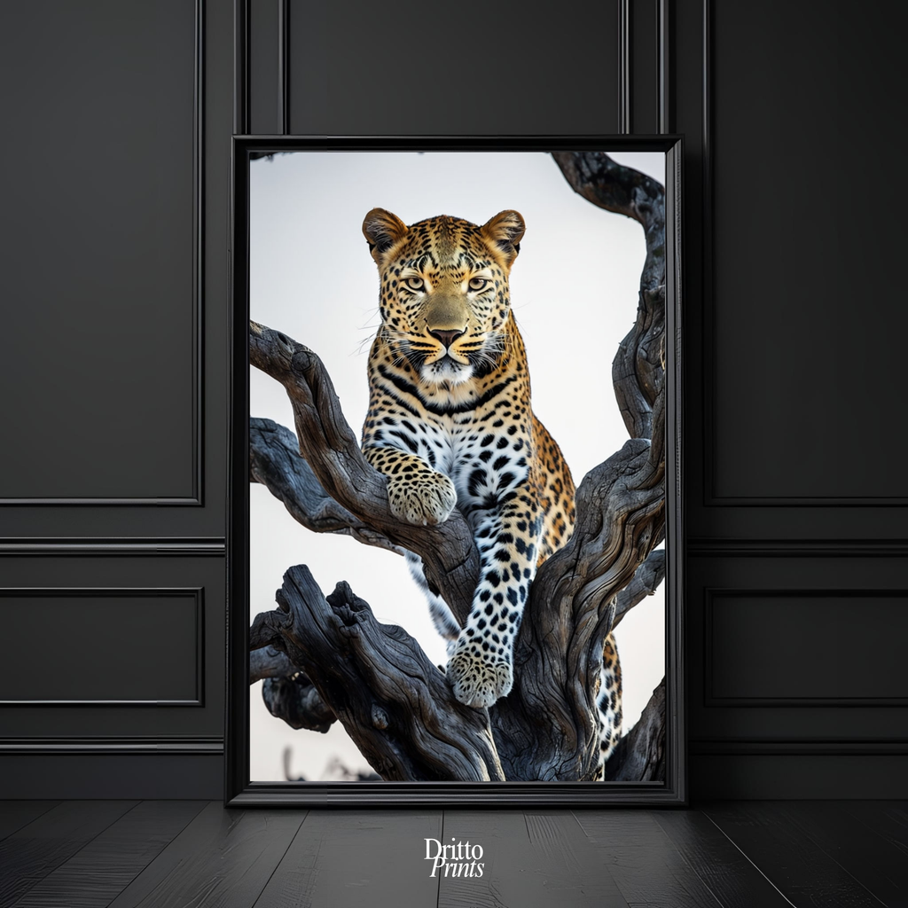 (FD14) Elegance Above All - Framed matte paper poster