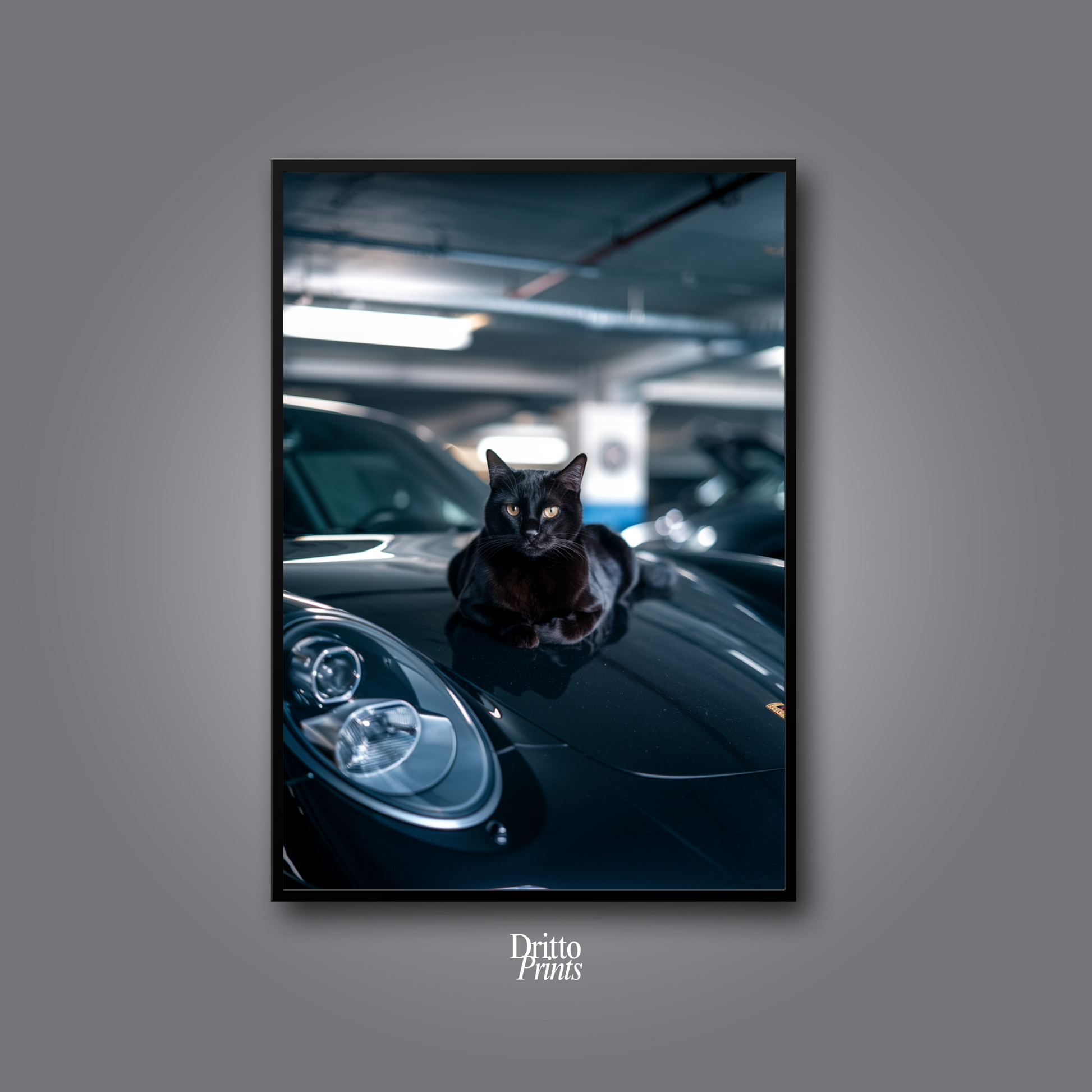 (FD9) Black Cat Turbo - Framed matte paper poster