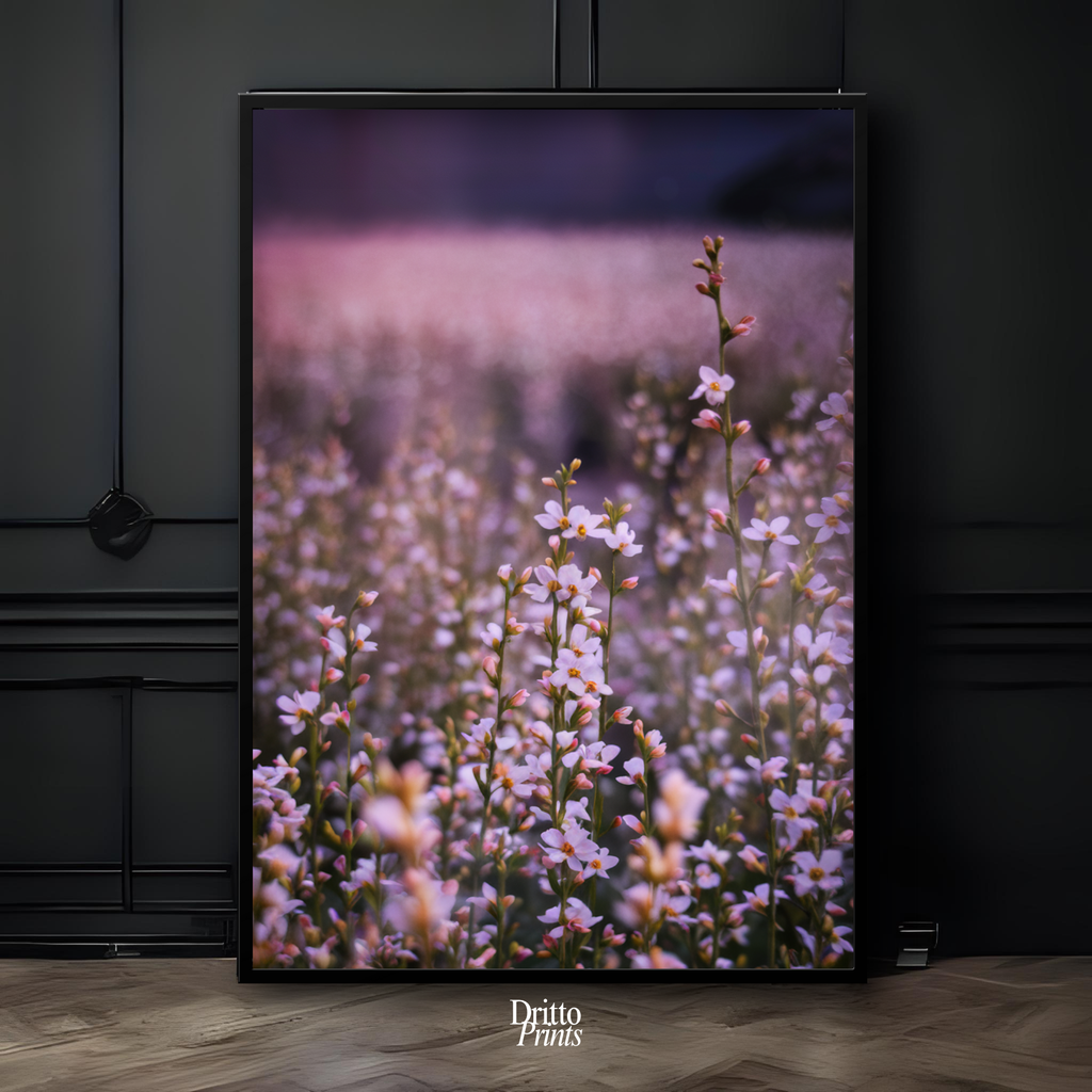 (FD23) Bloom Before the Fade - Framed matte paper poster