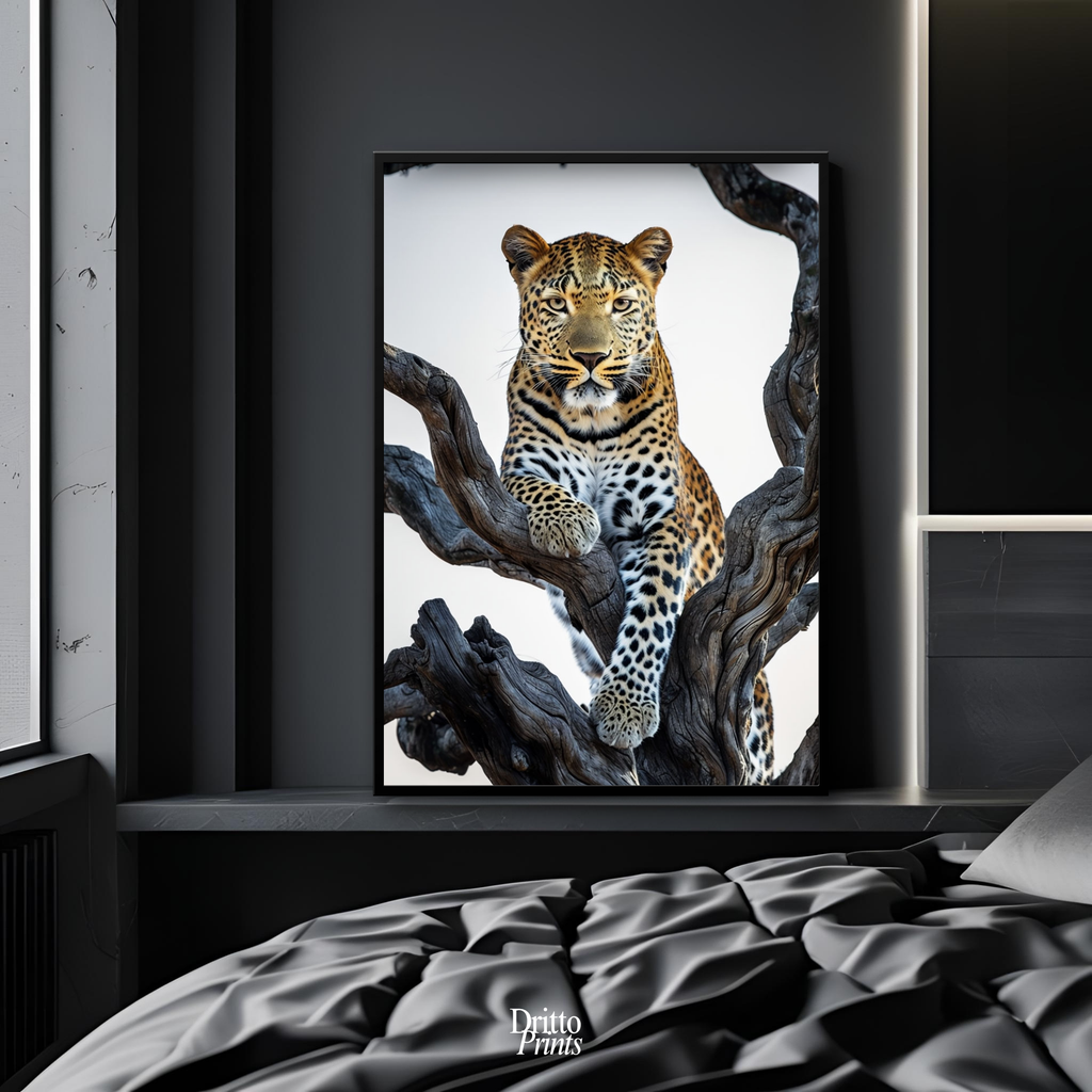 (FD14) Elegance Above All - Framed matte paper poster