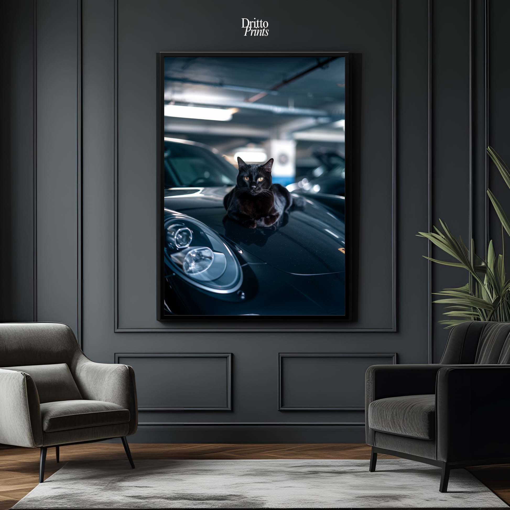 (FD9) Black Cat Turbo - Framed matte paper poster