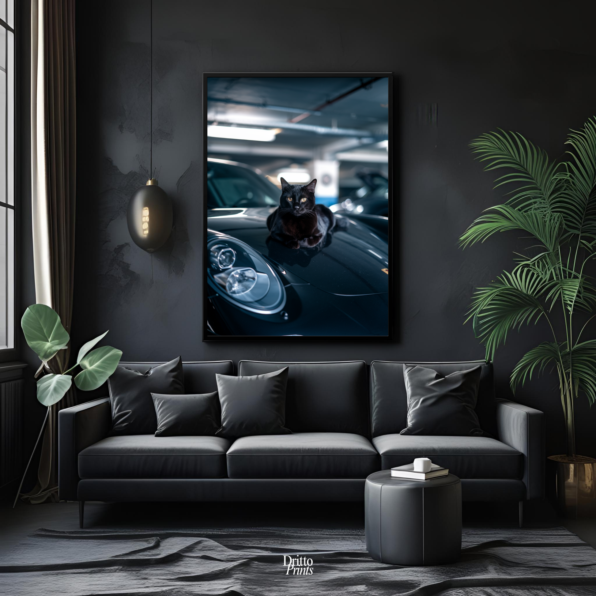 (FD9) Black Cat Turbo - Framed matte paper poster