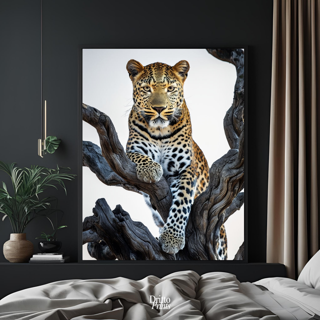 (FD14) Elegance Above All - Framed matte paper poster