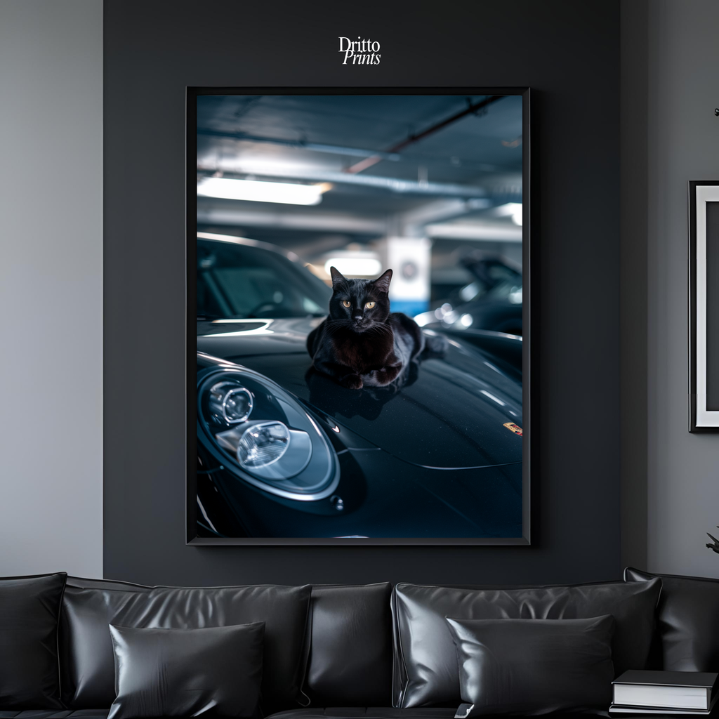 (FD9) Black Cat Turbo - Framed matte paper poster