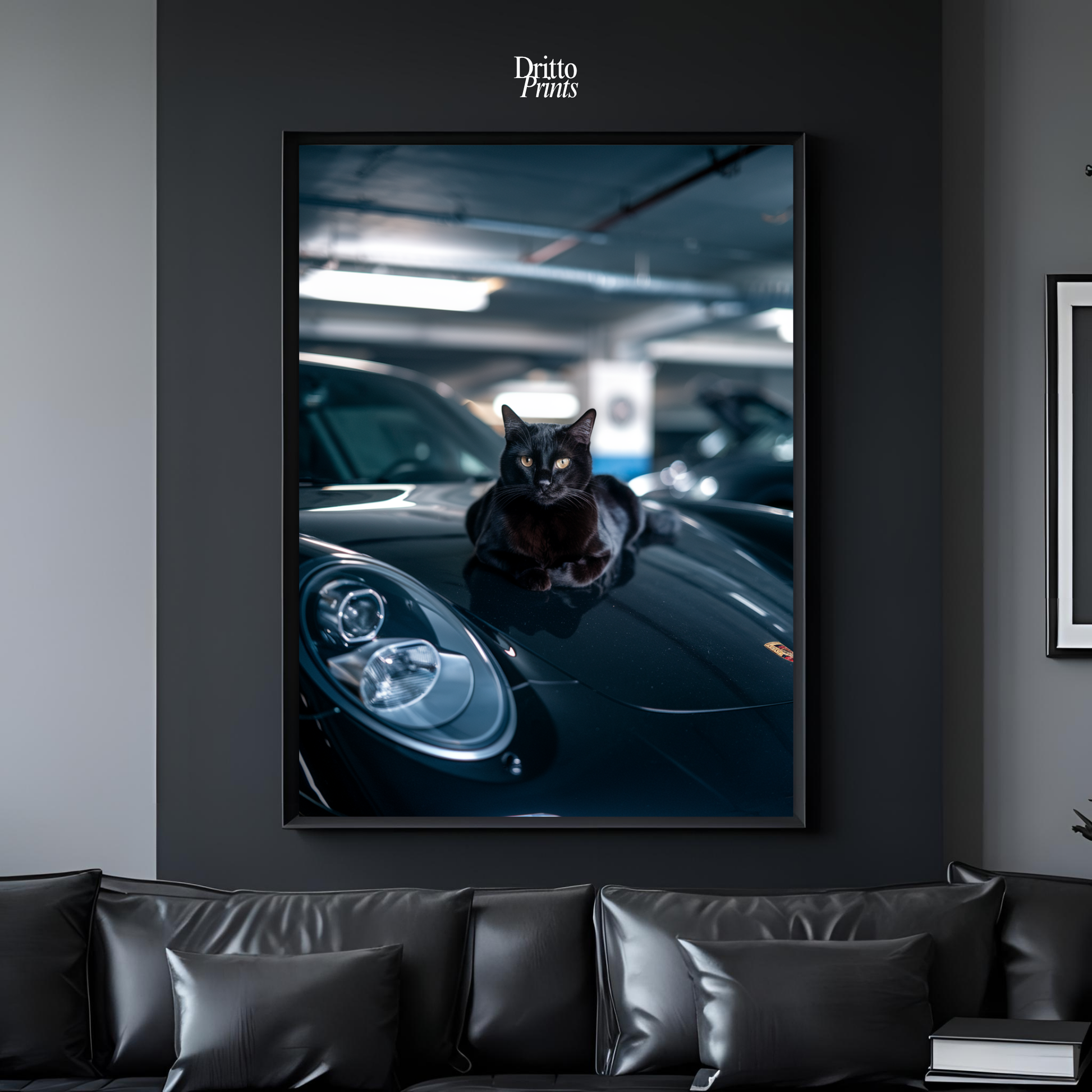 (FD9) Black Cat Turbo - Framed matte paper poster