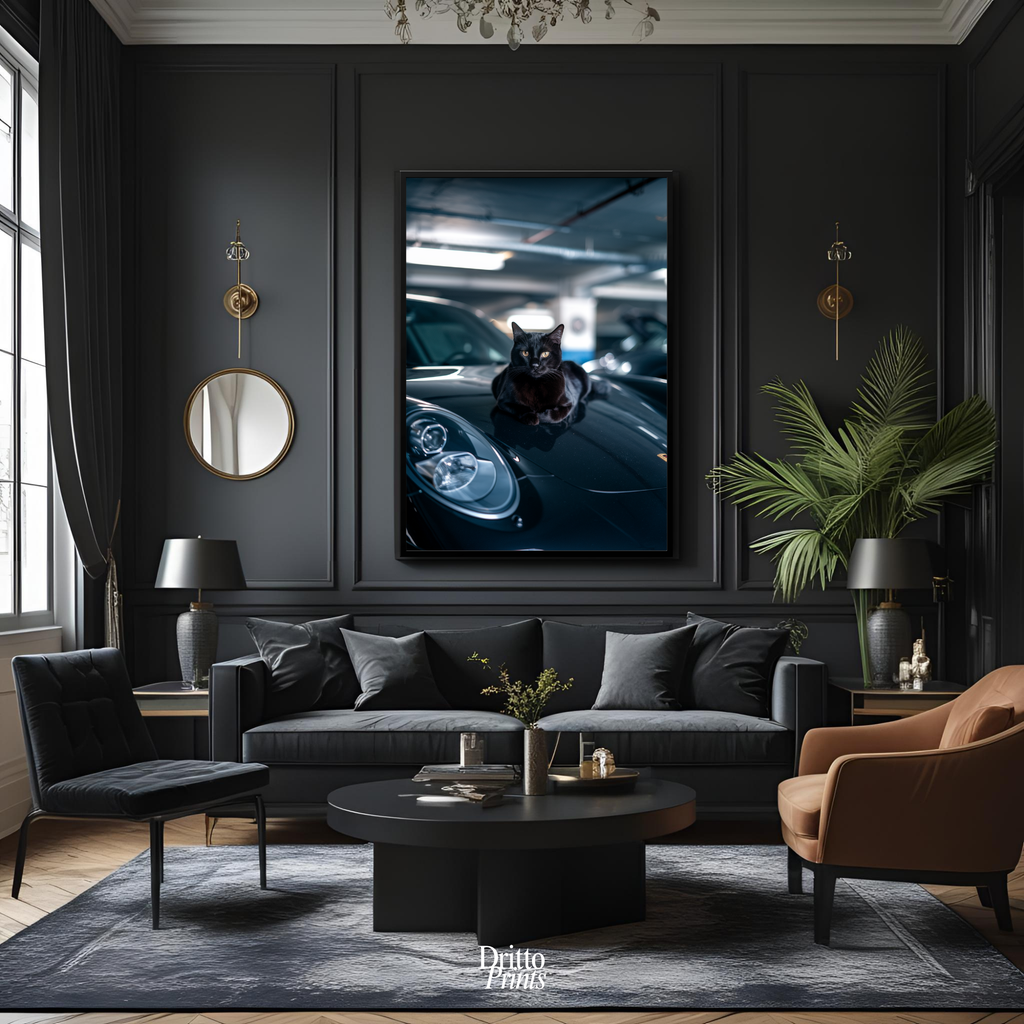 (FD9) Black Cat Turbo - Framed matte paper poster