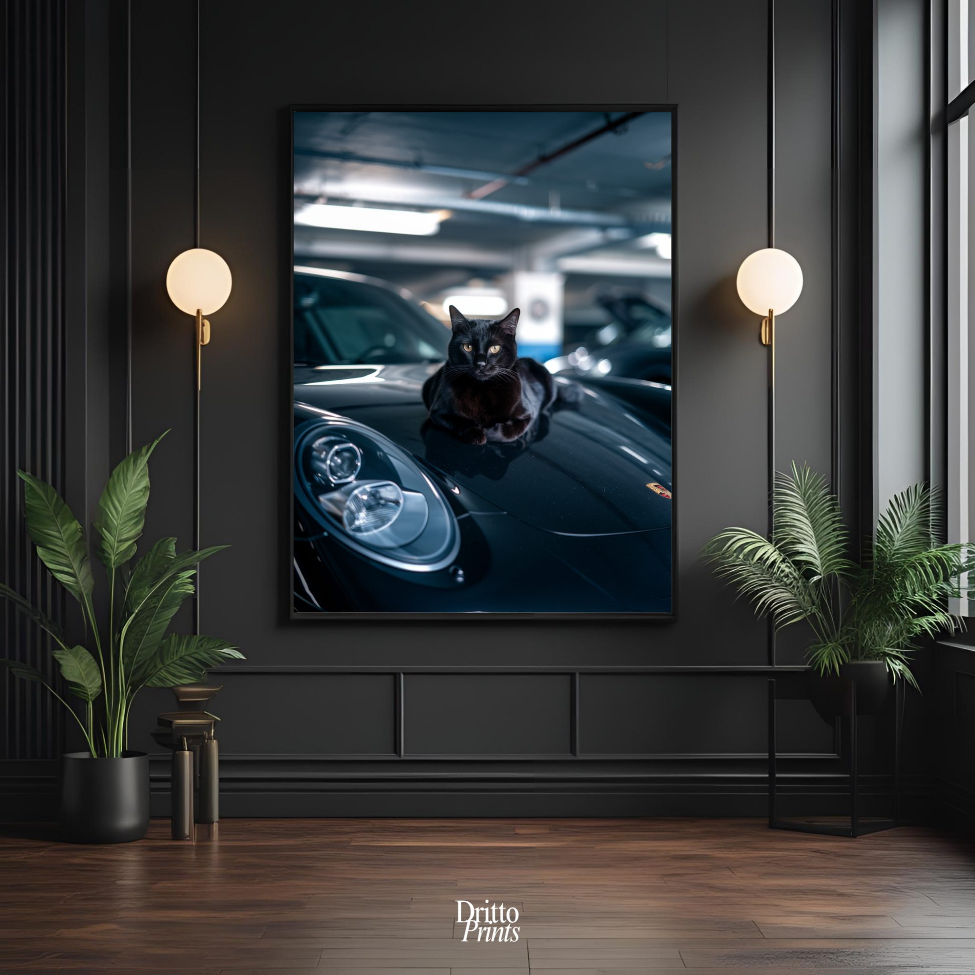 (FD9) Black Cat Turbo - Framed matte paper poster