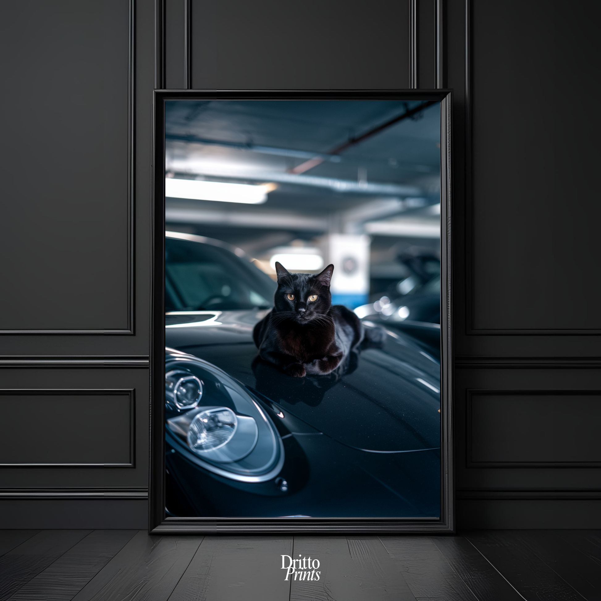 (FD9) Black Cat Turbo - Framed matte paper poster