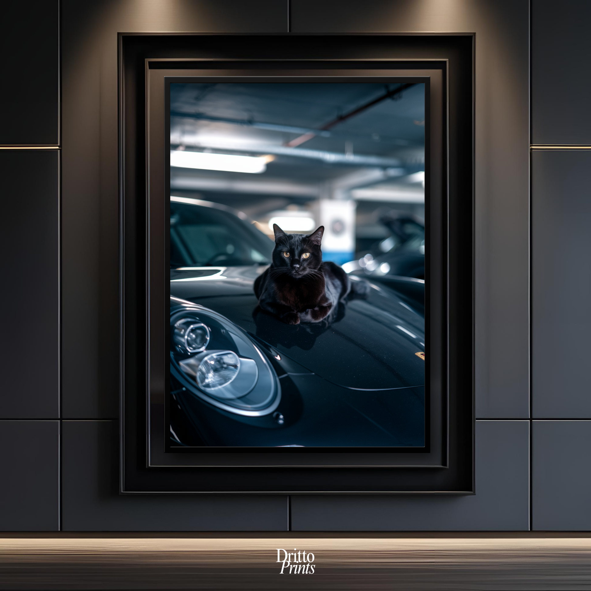 (FD9) Black Cat Turbo - Framed matte paper poster
