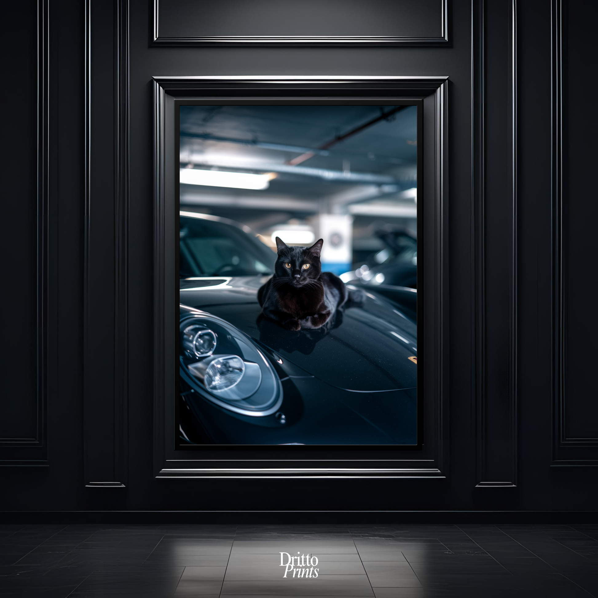 (FD9) Black Cat Turbo - Framed matte paper poster