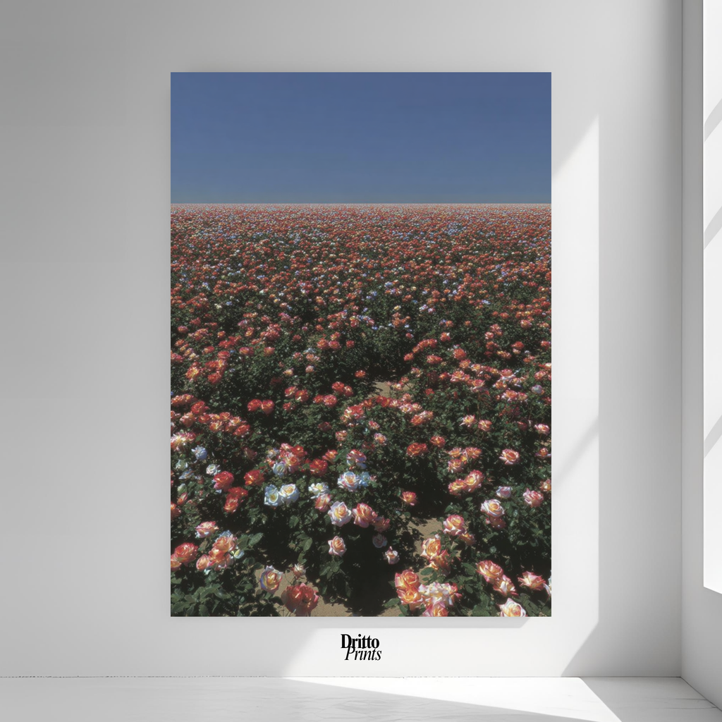 (PD28) Sea of Roses - Poster