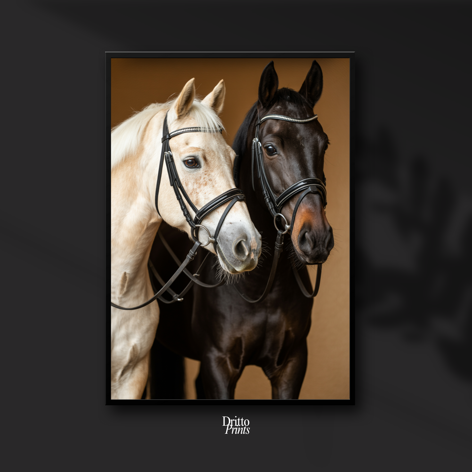 (FD22) Harmony in Contrast - Framed matte paper poster