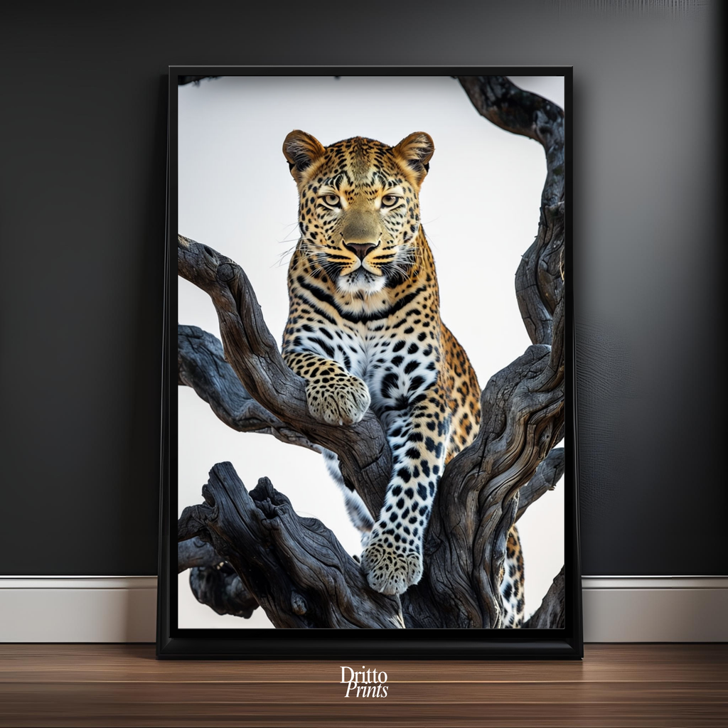 (FD14) Elegance Above All - Framed matte paper poster
